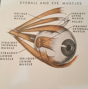 Meet your Posher, Dennis